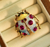 Broche de Joaninha de Sete Estrelas Cravejado de Strass