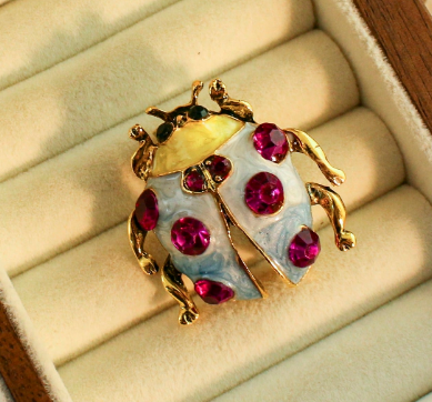 Broche de Joaninha de Sete Estrelas Cravejado de Strass