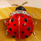 Broche de Joaninha