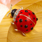 Broche de Joaninha
