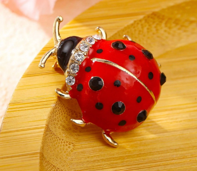 Broche de Joaninha
